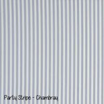 Party Stripe - Chambray copy