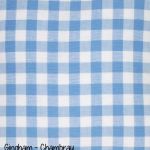Gingham - Chambray copy