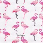Flamingos -  Fuchsia