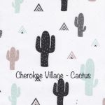 Cherokee Village  Cactus - Mint - Taupe